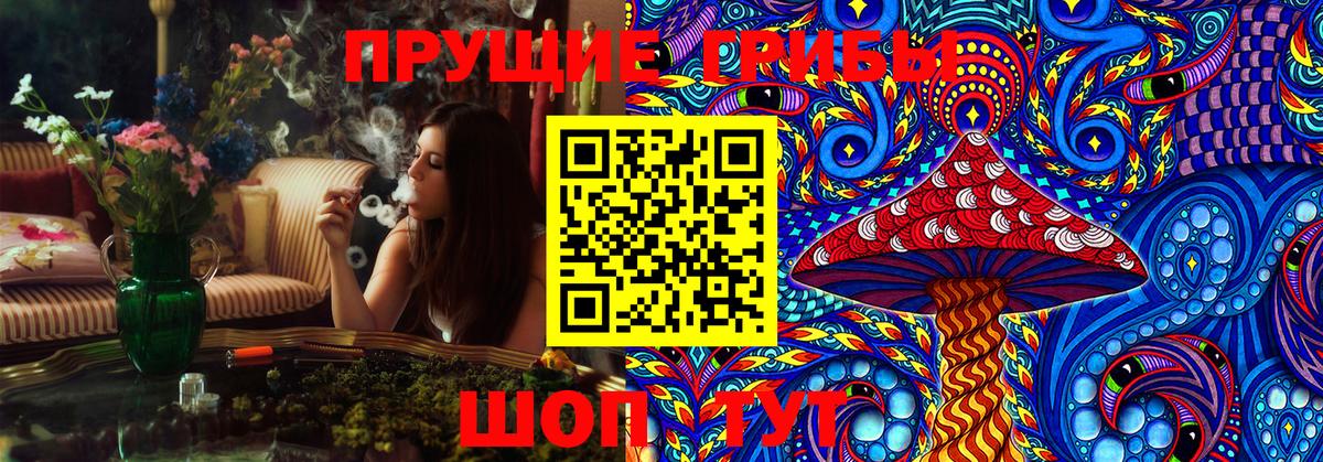 Галлюциногенные грибы GOLDEN TEACHER Новодвинск