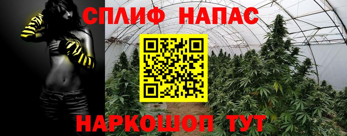 Шишки марихуана планчик  Вход с VPN  Шишки марихуана семена  Новодвинск  Марихуана Bruce Banner 